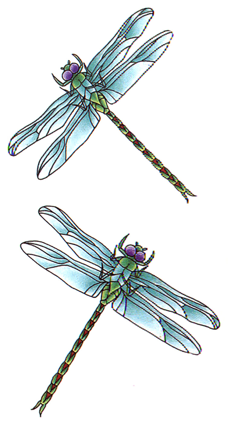 Dragonflies Waterproof Temporary Tattoos 2 Sheets