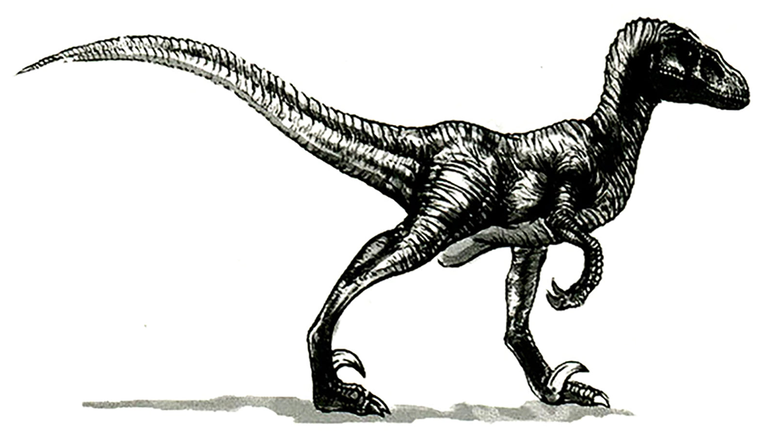 Tyranosaurus Dinosaur Waterproof Temporary Tattoos 2 Sheets