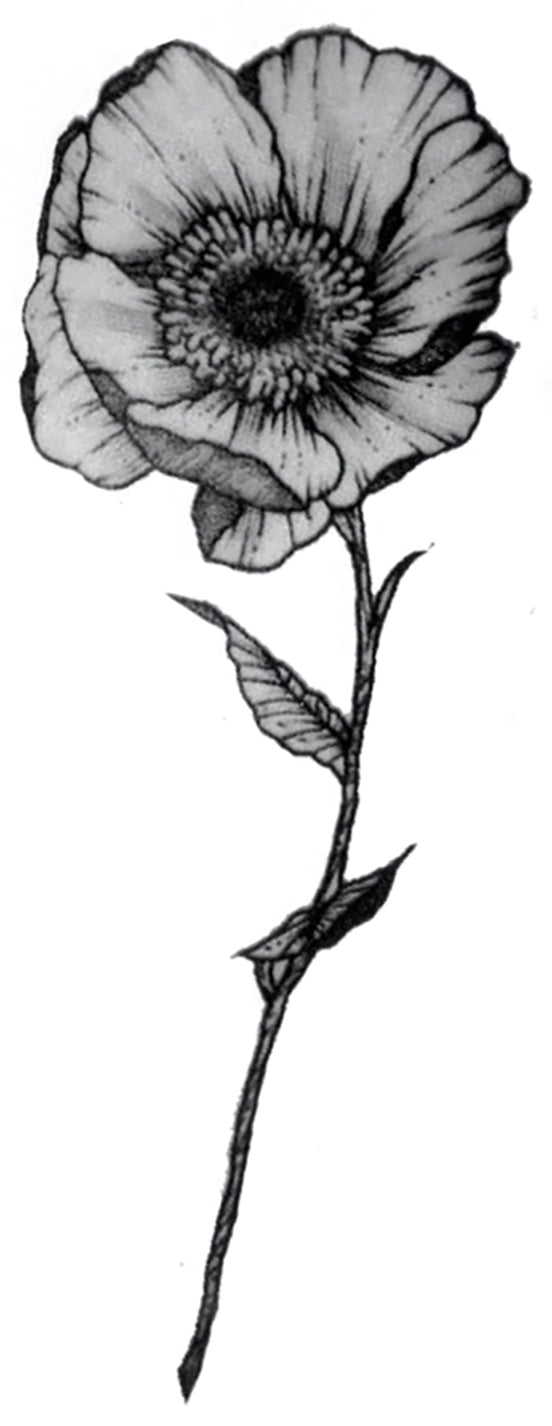 Poppy Flower B&W Art Waterproof Temporary Tattoos 2 Sheets