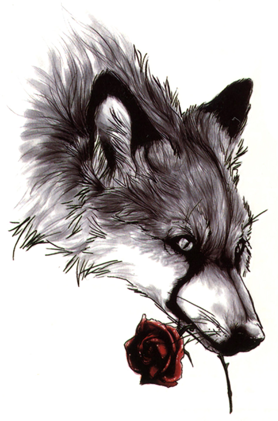 Wolf Red Rose Romance Shifter Waterproof Temporary Tattoos 2 Sheets