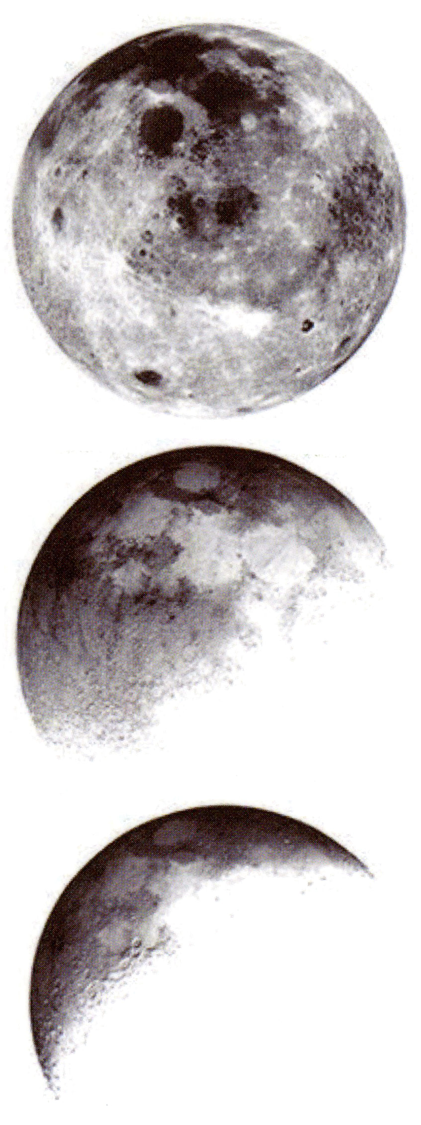 Triple Moon Phases Band Temporary Tattoos 2 Sheets