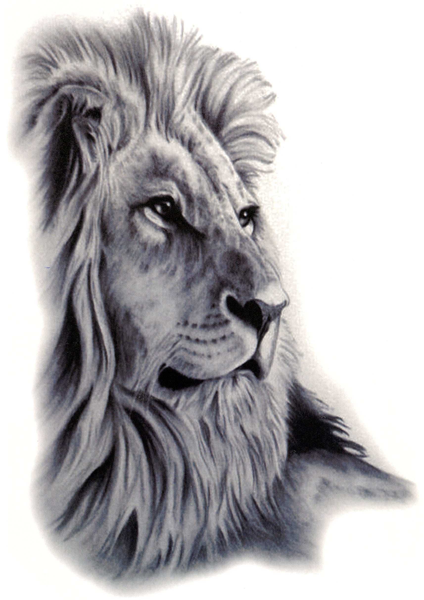 Lion Portrait 3 1/2" x 8" Waterproof Temporary Tattoos