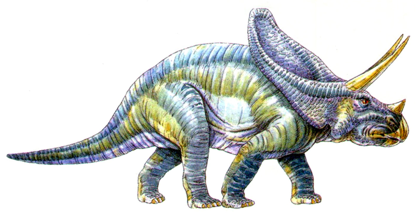 Triceratops Dinosaur Waterproof Temporary Tattoos 2 Sheets