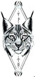 Lynx Big Cat Rune Symbols Large 3" x 8" Waterproof Temporary Tattoos