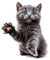 Grey Kitten Waving Cat Paw Waterproof Temporary Tattoos 2 Sheets