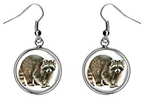 Raccoon Silver Hypoallergenic Stainless Steel Silver Earrings