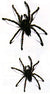 Black Spiders Waterproof Temporary Tattoos 2 Sheets