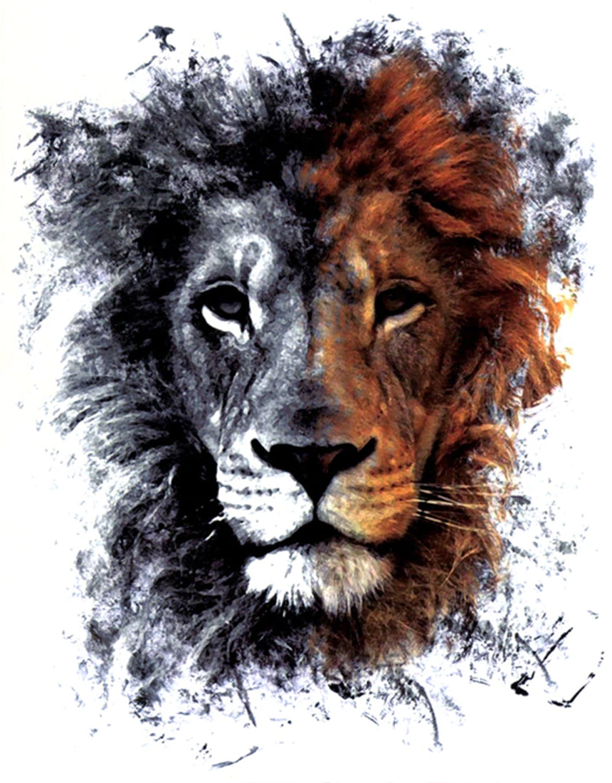 Lion Portrait Artsy Splash 5" x 7" Waterproof Temporary Tattoos