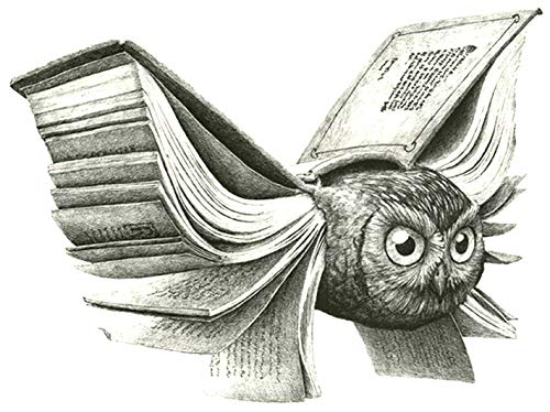 Large 4" x 6" Owl with Book Page Wings Conceptual Literary Fantasy Sci Fi Art Black Waterproof Temporary Tattoos 2 Sheets