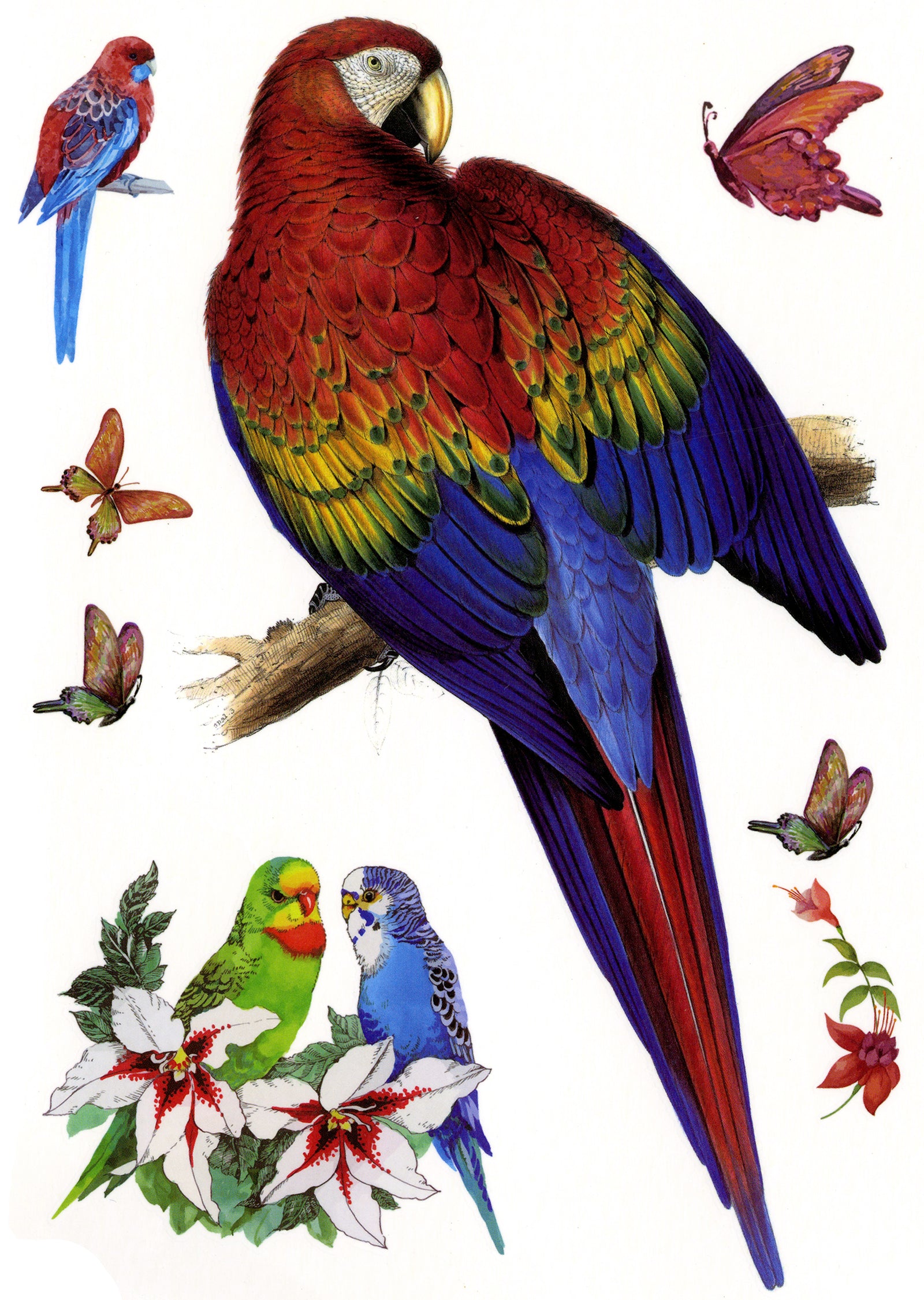 Parrot and Birds of Paradise Large 4" x 7 1/4" Waterproof Temporary Tattoos