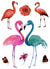 Flamingos Large 6" x 8 1/4" Waterproof Temporary Tattoos