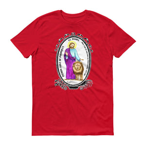 Saint Daniel Patron of Prophecy Unisex T-shirt