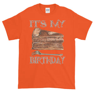 It's My Birthday Slice of Chocolate Cake Adult Unisex T-shirt