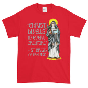 Christ Dwells in Every Creature St Brigid of Ireland Adult Unisex T-shirt